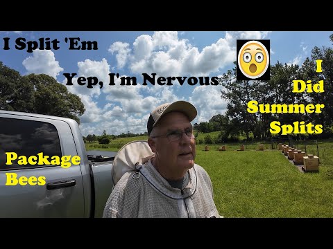 Package Bees Plan | Summer Hive Splits | Nervous Beekeeper