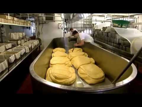 Video quy trình làm phô mai mozzarella - youtube