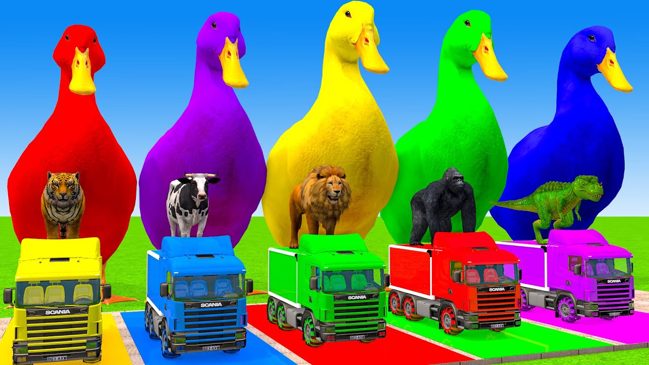 Long Slide Game With Cow Elephant Gorilla Hippopotamus Tiger 3d Animal Game Funny 3d Animals