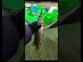 Sennar Fishing