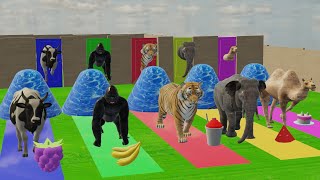 Choose Right Door with Elephant Gorilla Cow Tiger Dinosaur lion camel Wild Animals Games