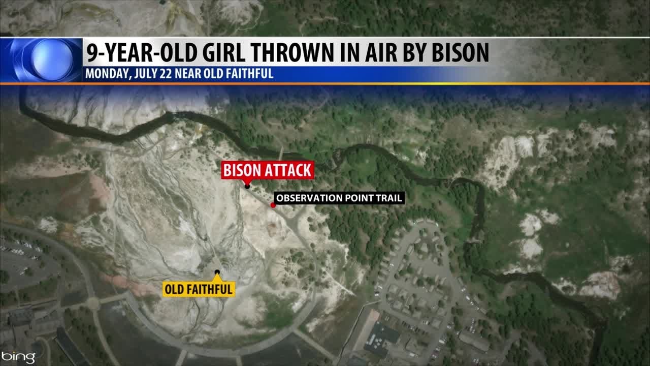 9-year-old girl injured by bison at Yellowstone National Park