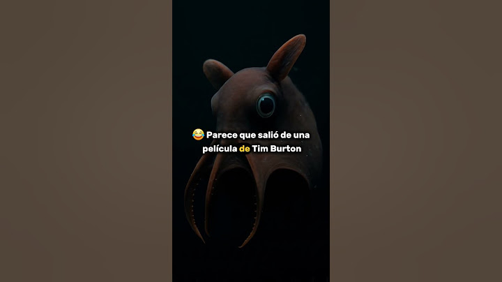 ¡El calamar vampiro EXISTE y es increíble! 😱🦑 #curiosidadesanimales