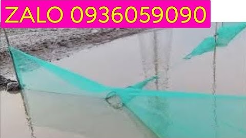 Bán dớn bắt cá, ZALO 0936059090. bán lú bắt cá,đuôi chuột bắt cá, bán dớn chặn sông, bán xăm bẫy cá.