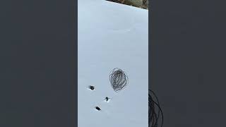 Ruger impact max elite accuracy at 30 yards