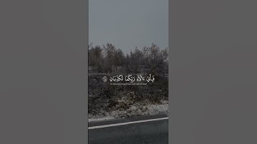 سورة الرحمن بصوت ياسر الدوسري