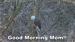 Decorah Eagles- Good Morning Mom!!