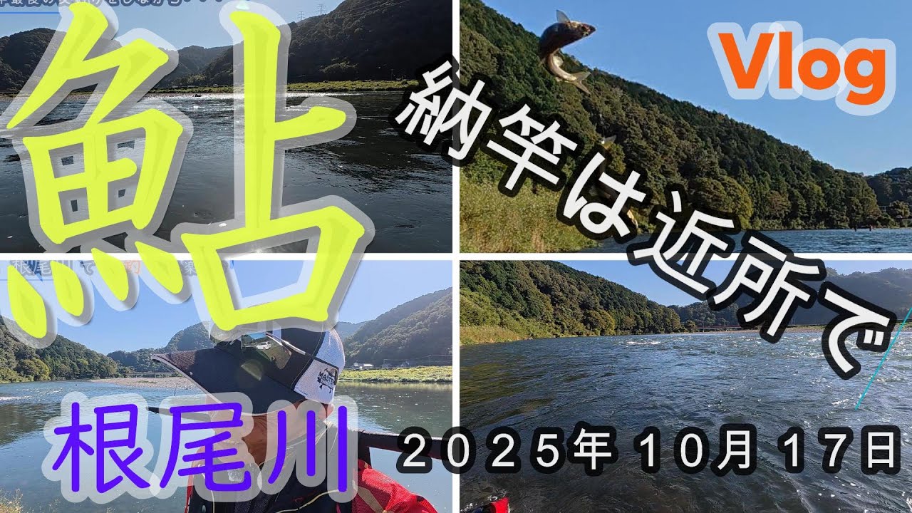 【根尾川】納竿の釣り　２０２５．１０．１７