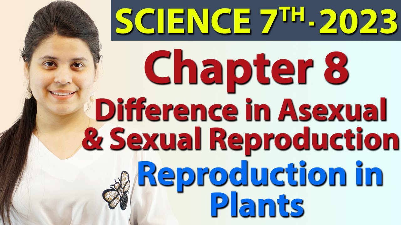 Difference in Asexual & Sexual Reproduction - Chapter 12 ...