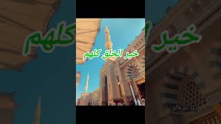 ذكرى المولد النبوي