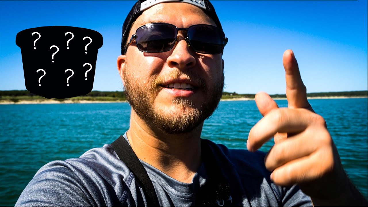 Catching Hybrid Striped Bass (Wipers) on WHAT?? | Lake Georgetown