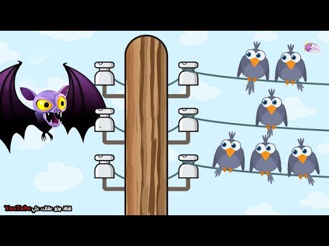 فيديو: لماذا لا تصعق الطيور الجالسة على أسلاك عالية الجهد