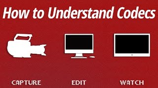 How to Understand Codecs