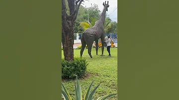 Mlidhani Sitafika Hapa Ni Wapi 