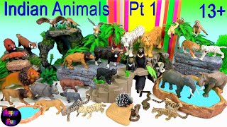 Indian Animals - Bengal Tiger, Asiatic Lion, Indian Elephant, Rhino, Big Cats - Wild Zoo Animals 13+