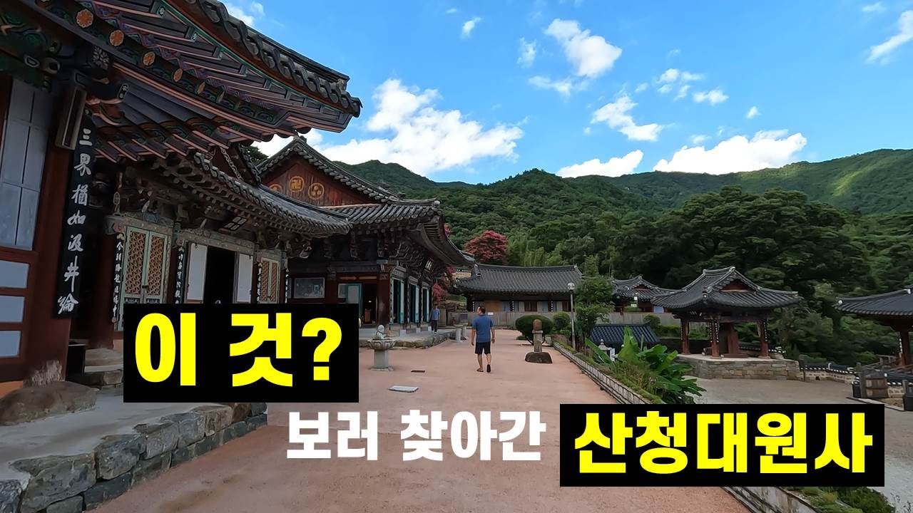 이 거 보려고 여기까지 왔는데....오길 잘했네