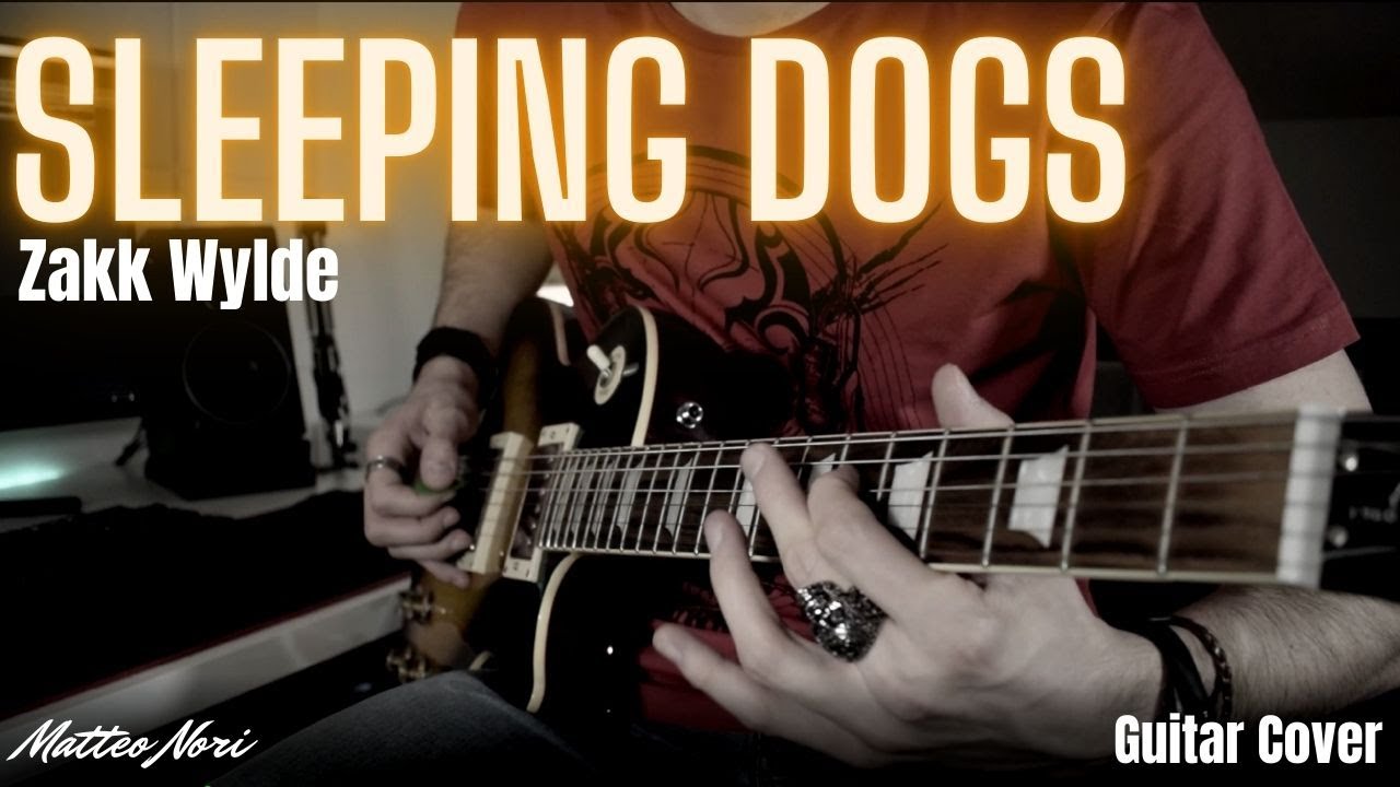 Sleeping Dogs - Zakk Wylde 