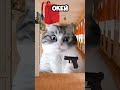 ТГ в профиле там футажи#shortsyoutube #shortsyoutube #shortsyoutube #shortsyoutube #shortsyoutube