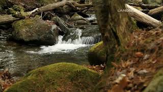 Rob Costlow - The River (LandscapeHD) Resimi