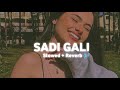 Sadi Gali - (Slowed+Reverb) From | Tanu Weds Manu