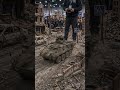 RC Stryker APC Combat Scenario Diorama #rctank #military #realistic