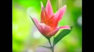 Sunsilk Nutrient Shampoo "Calendar" 30sec (Philippines, 1996) screenshot 3