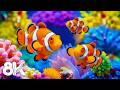 Ocean Aquarium 8K 🐠 Explore the Hidden Underwater World with Peaceful Sleep Music