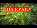 НА КРАЮ. Читает автор - Ольга Киевская