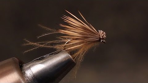 CDC & Elk Hair Caddis