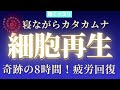 【カタカムナ✖︎細胞再生】寝ながら高波動全身ヒーリング🌿 DNA修復・疲労回復