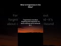 What Is Forgiveness in the Bible? | Biblical Meaning & Truths Explained