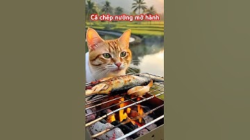 Mèo nấu ăn tập 02. Đi câu cá về làm cá nướng. #funny #monleovlog #cat #shortvideo #meow #shorts
