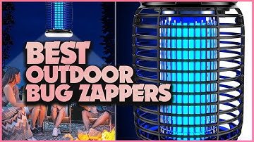 The Best Outdoor Bug Zappers for a Pest-Free Summer | Buyer