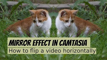 Mirror Effect | Camtasia 2021 | How to flip a video horizontally