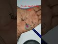 مازن البيضاني النجمة على تل القمر في الكف العراق السعودية مازن البيضاني النجمة على تل القمر في الكف العراق السعودية