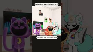 Catnap Got Launched 🥸👇 Poppy Playtime Chapter #Animation #Memes
