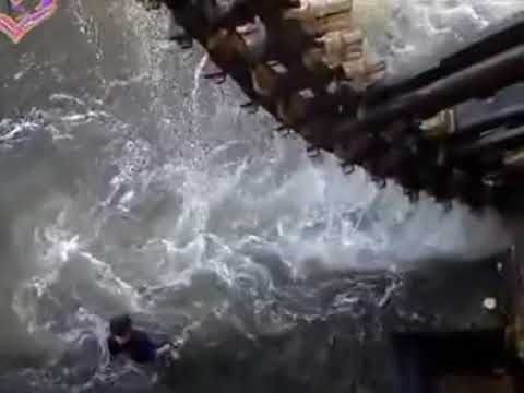 هيك صوت عنين الناعوره تحكي قصة شعب بفرحه واحزانه