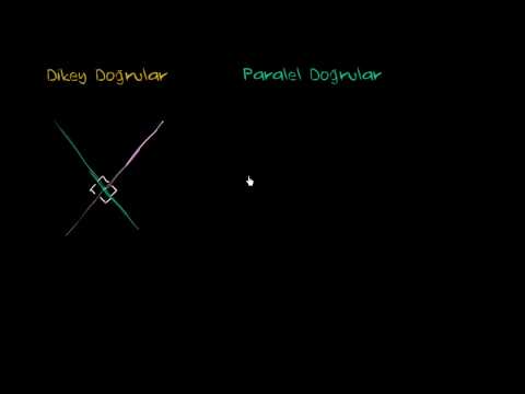 Paralel Ve Dik Doğrulara Giriş