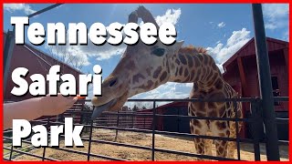 Animals For Days!  Tennessee Safari Park  Alamo, TN