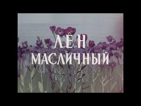 Лен масличный