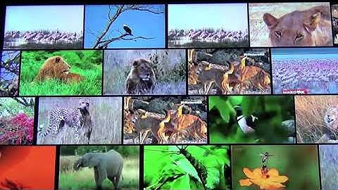 Test Upload via Java on Fri Mar 08 14:16:08 ICT 2019