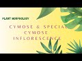 Cymose and special cymose inflorescence|| live class || plant Morphology|| WBSLST Life sciences