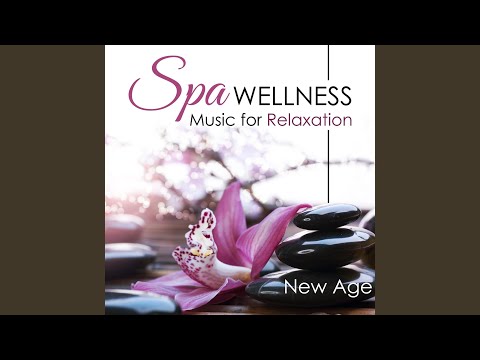 Meditation
