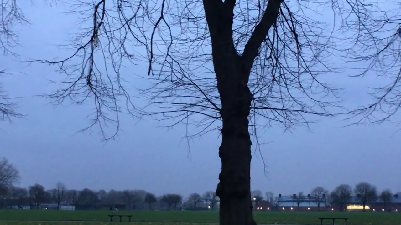 افهم كل ماتحتاجه لتربية المقنين او انتاجه