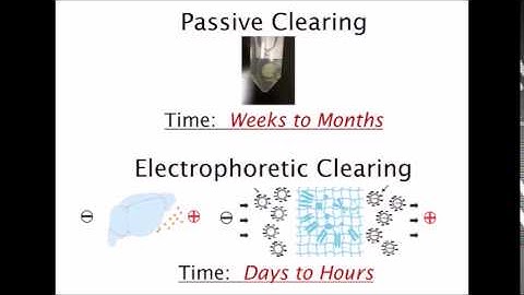 X CLARITY video1of8 Introduction