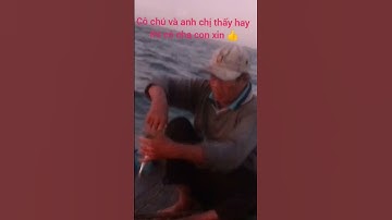 #40 nghề câu cá nục trên biển #shorts