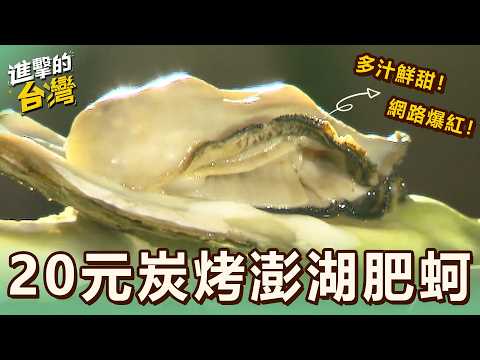 【宜蘭必吃】中秋團圓瘋最強烤肉 巴掌大鮮蚵 炭火一烤爆汁誘人/深夜食堂爆料海鮮粥 日狂賣200碗 龍蝦膏熬出金黃鮮湯 特143集 part1｜陳怡廷 (20元炭烤澎湖肥蚵)《進擊的台灣》