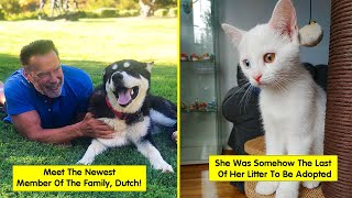 Most Wholesome Rescue Pet Photos
