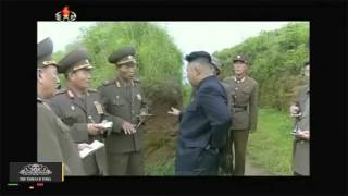 Famous N. Korea Executes Defense Chief for Falling Asleep During Meeting, S. Korea's Spy Agency Says Wealth