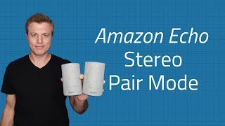 alexa stereo pair